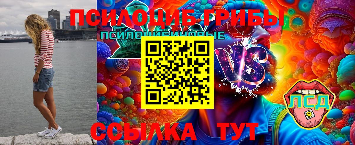 Галлюциногенные грибы мицелий  Псилоцибиновые грибы Magic Shrooms  Людиново  Вход с VPN 