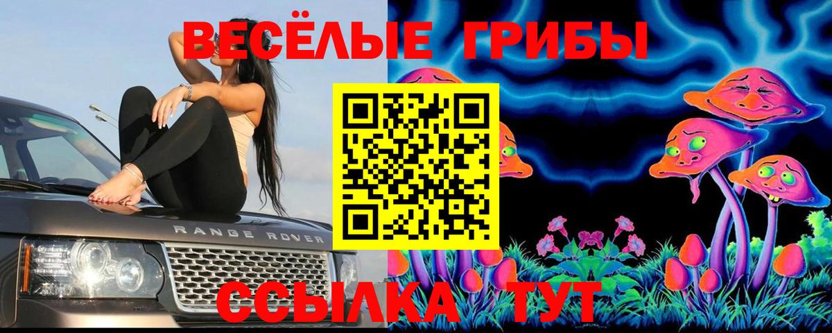 Псилоцибиновые грибы прущие грибы Людиново